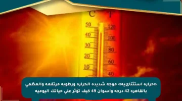 «حرارة استثنائية» موجة شديدة الحرارة ورطوبة مرتفعة والعظمى بالقاهرة 42 درجة وأسوان 49 كيف تؤثر على حياتك اليومية